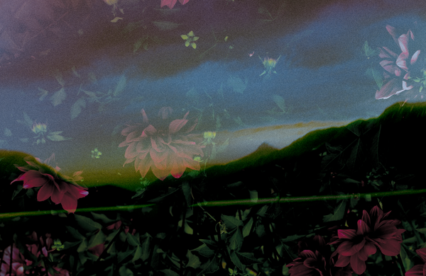I felt you stir in your sleep