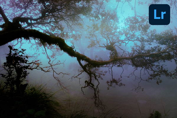 Editing Workshop - Lightroom
