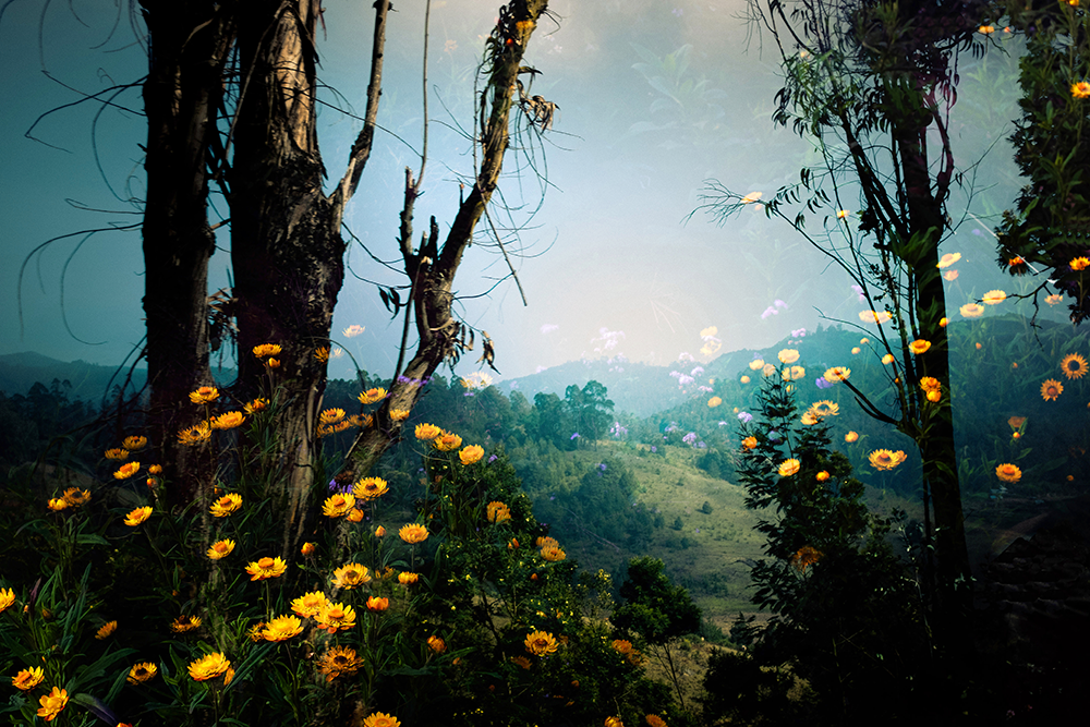 on the nature of transience