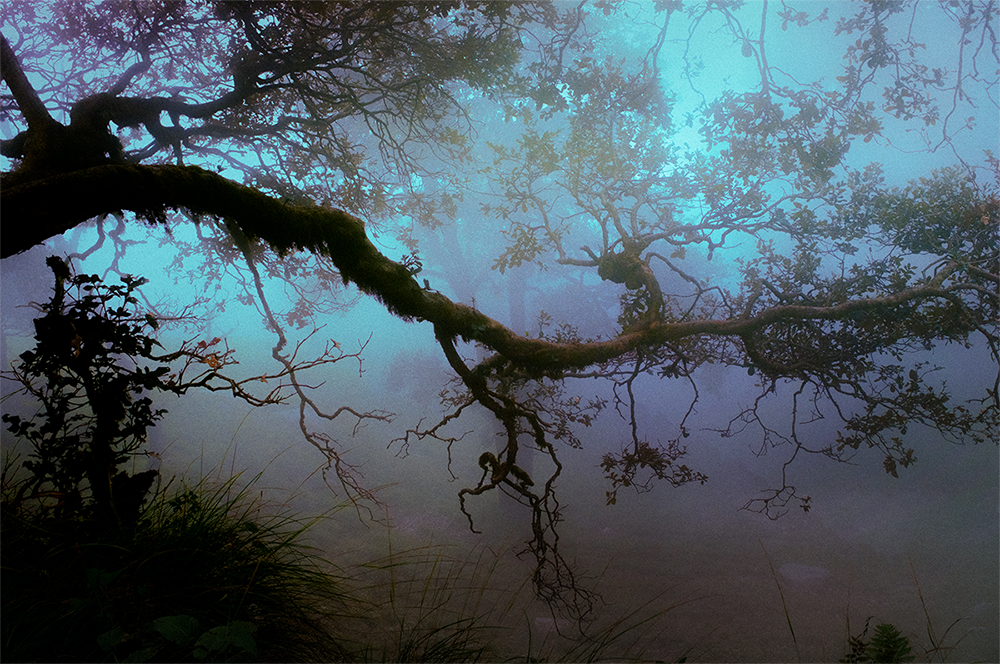 morning by the creek